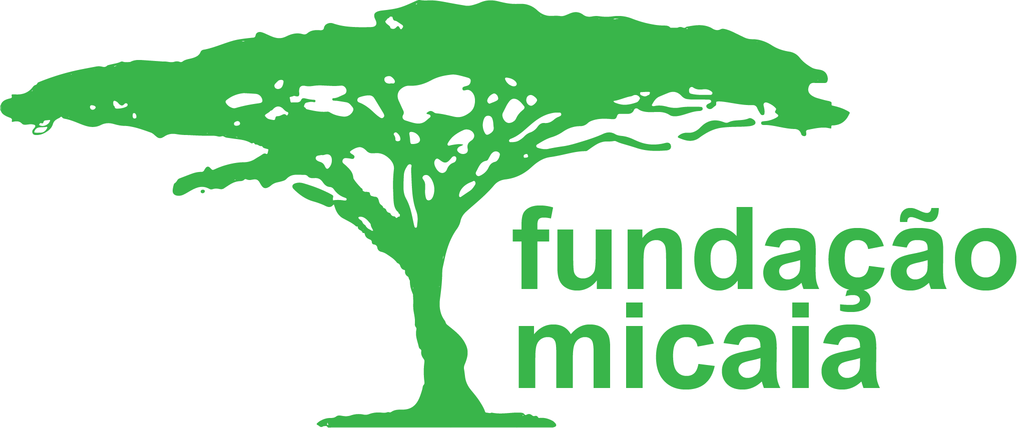 Fundação MICAIA