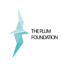 PLUM FOUNDATION